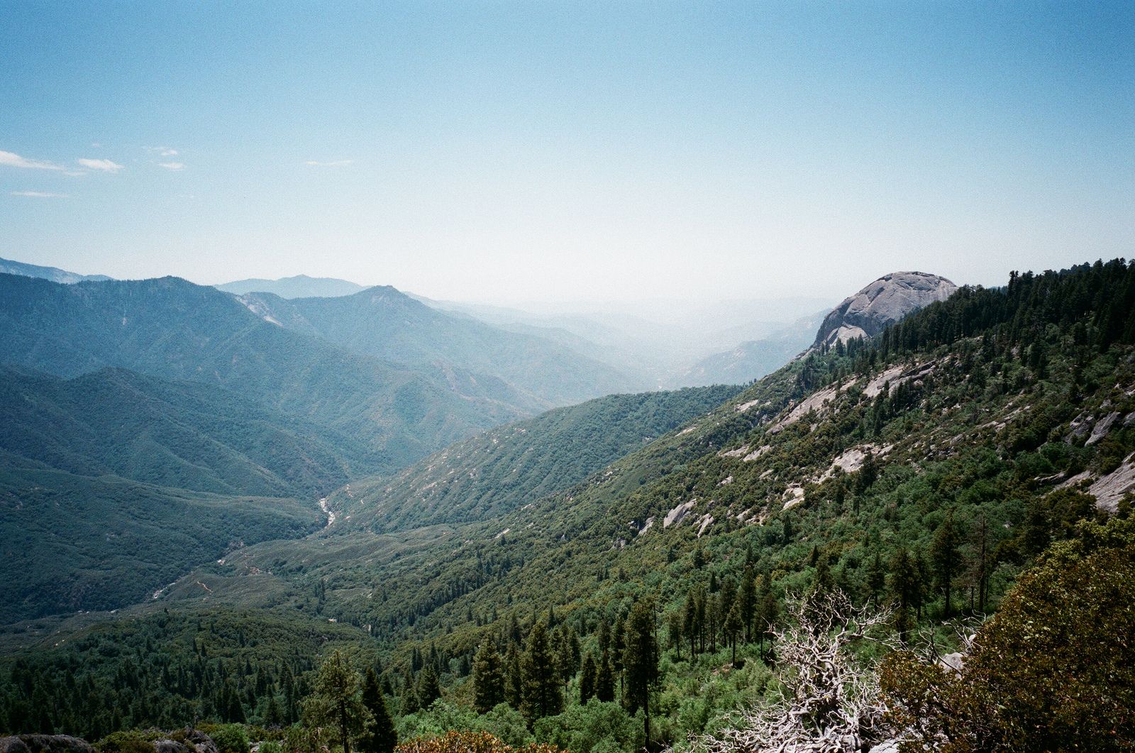 Wilsonia, CA Data USA