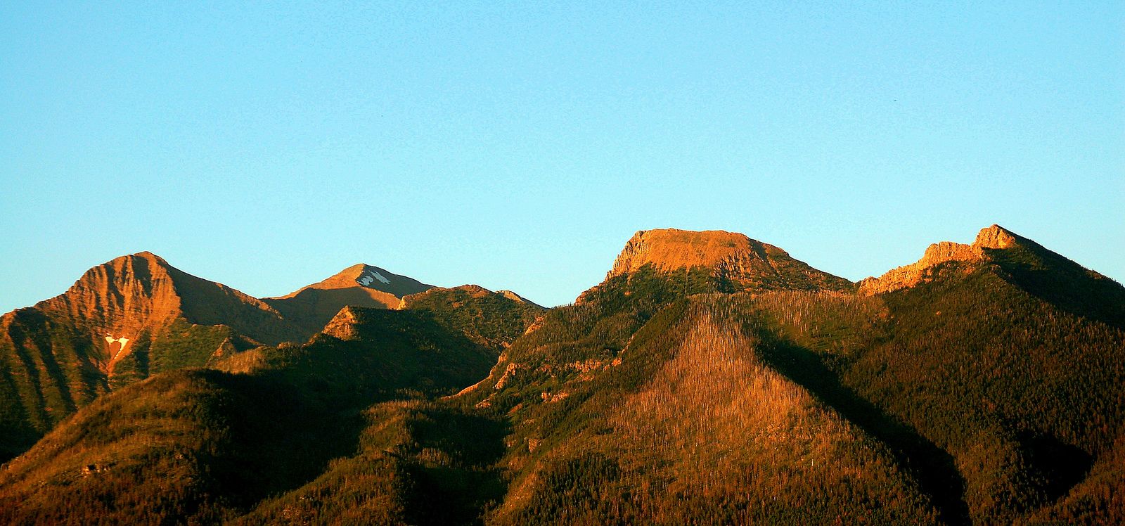 Bear Dance, MT Data USA