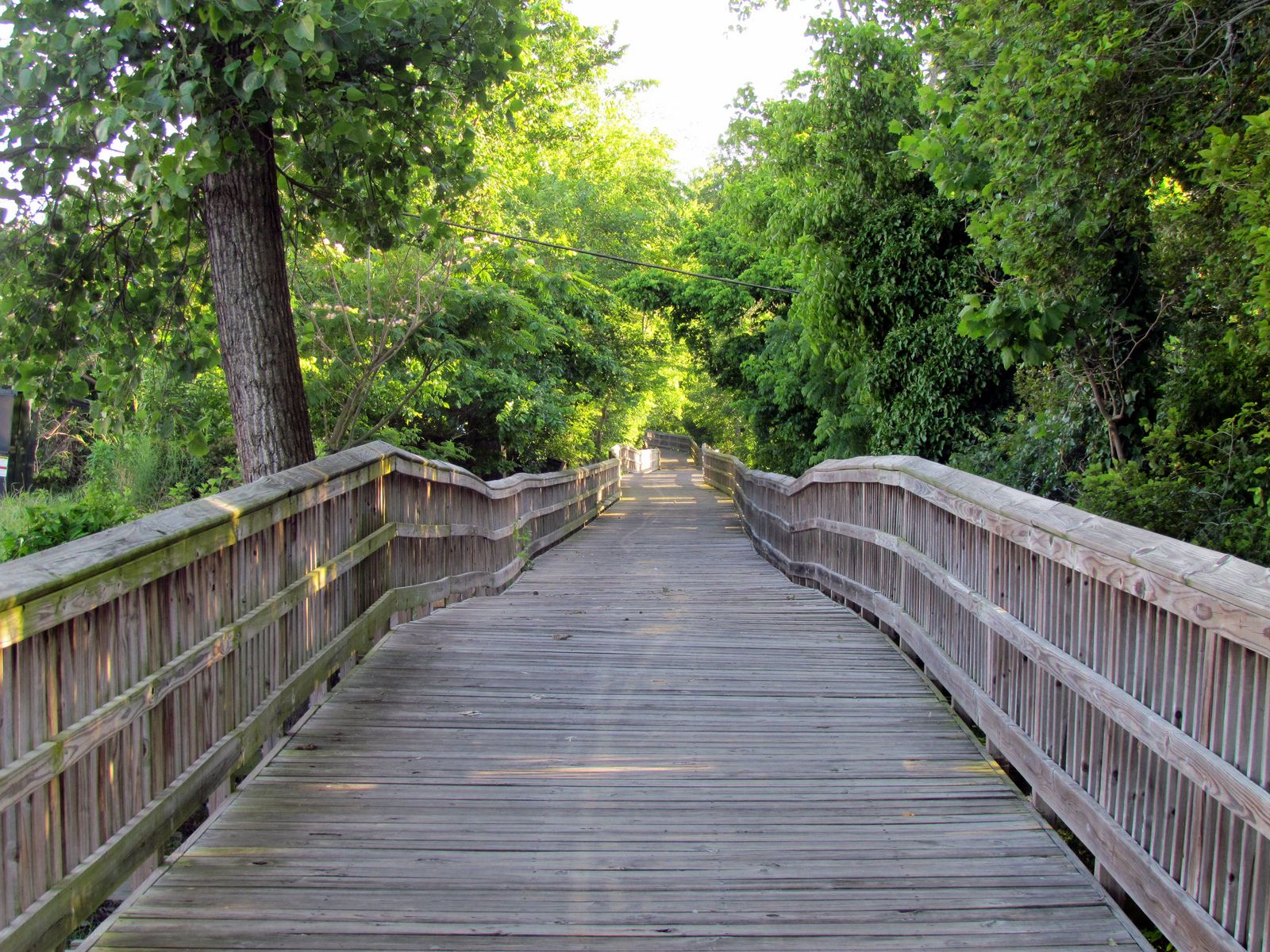 Clayton, NC Data USA