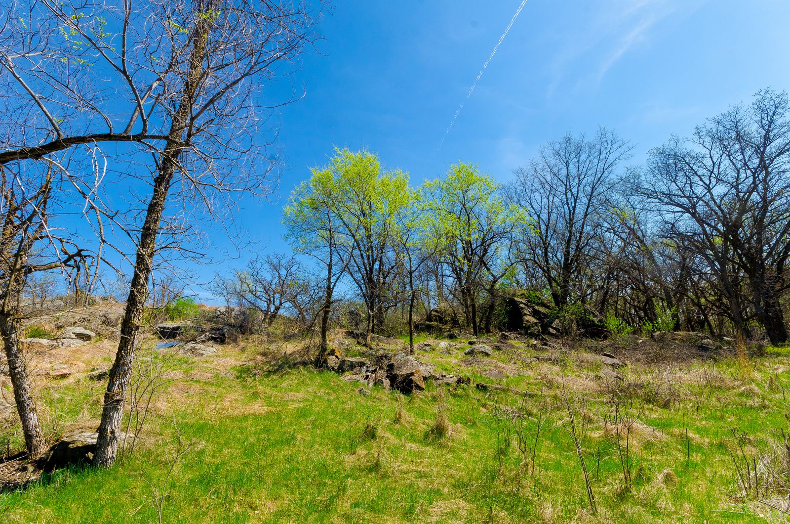 Granite Falls, MN Data USA