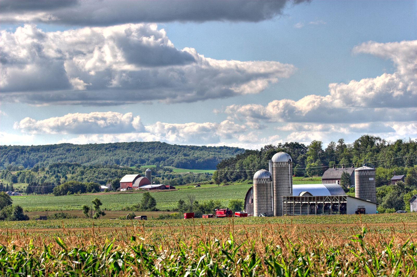 Grant County, WI Data USA