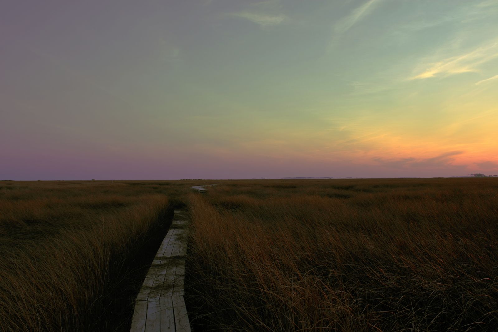 Greensboro, MD Data USA