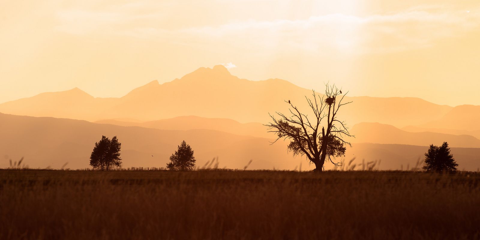 Highlands Ranch, CO Data USA