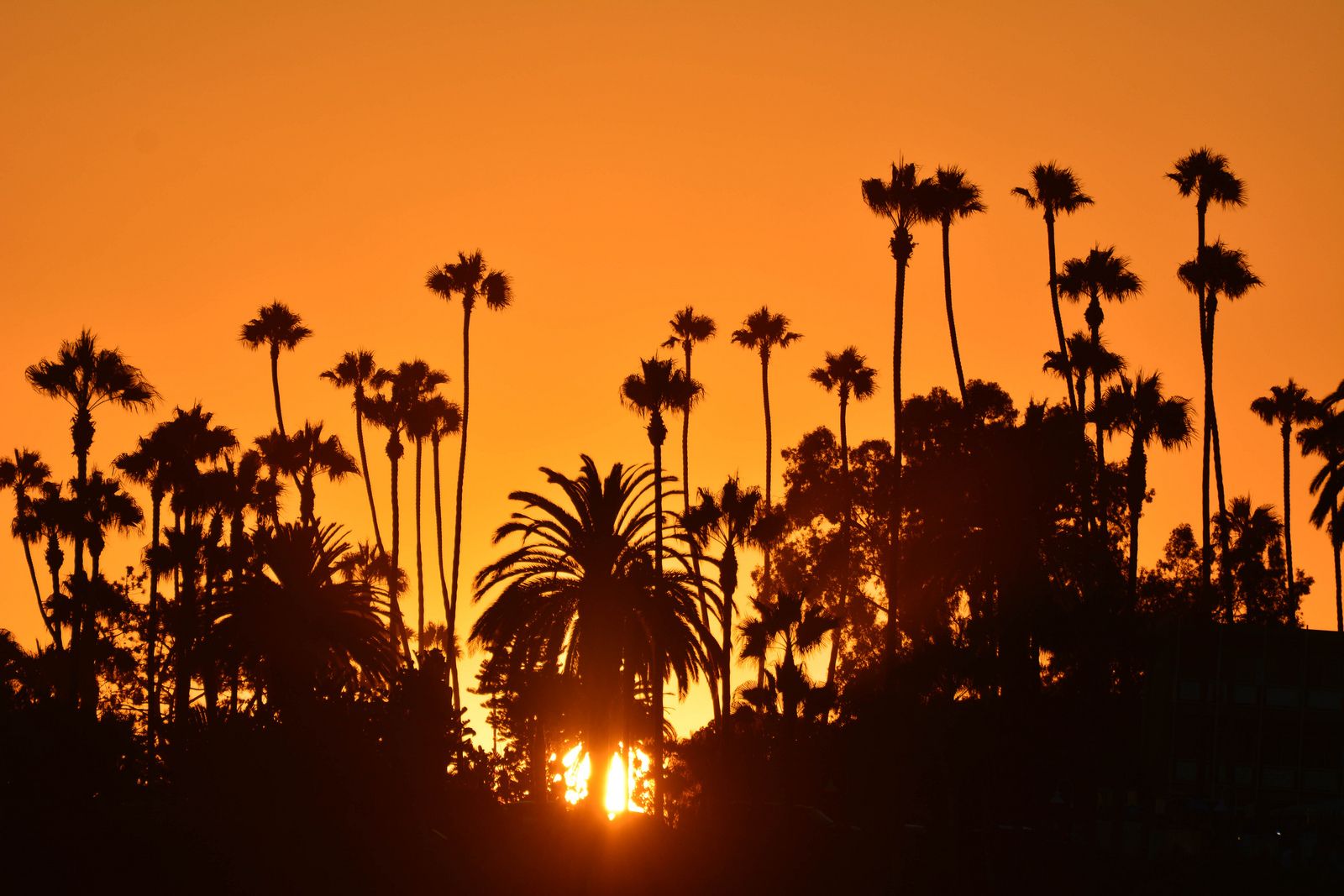 Laguna Beach, CA Data USA
