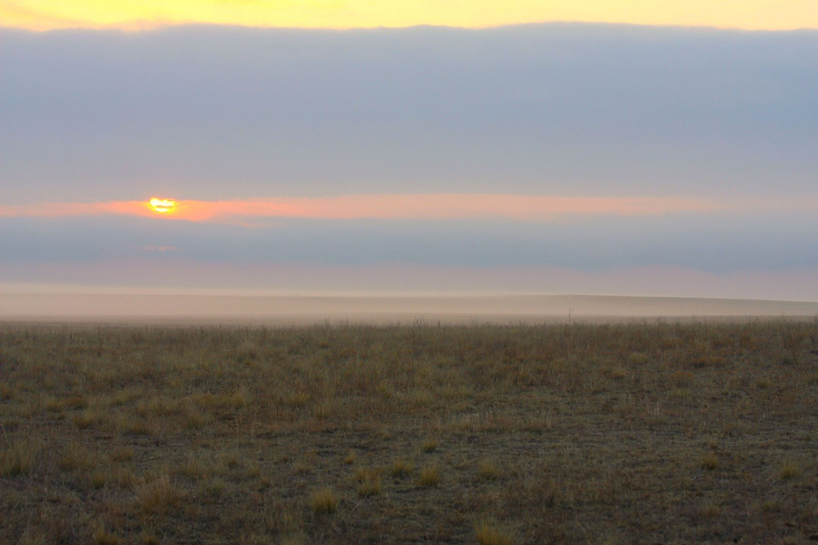 Lake Arthur, NM Data USA