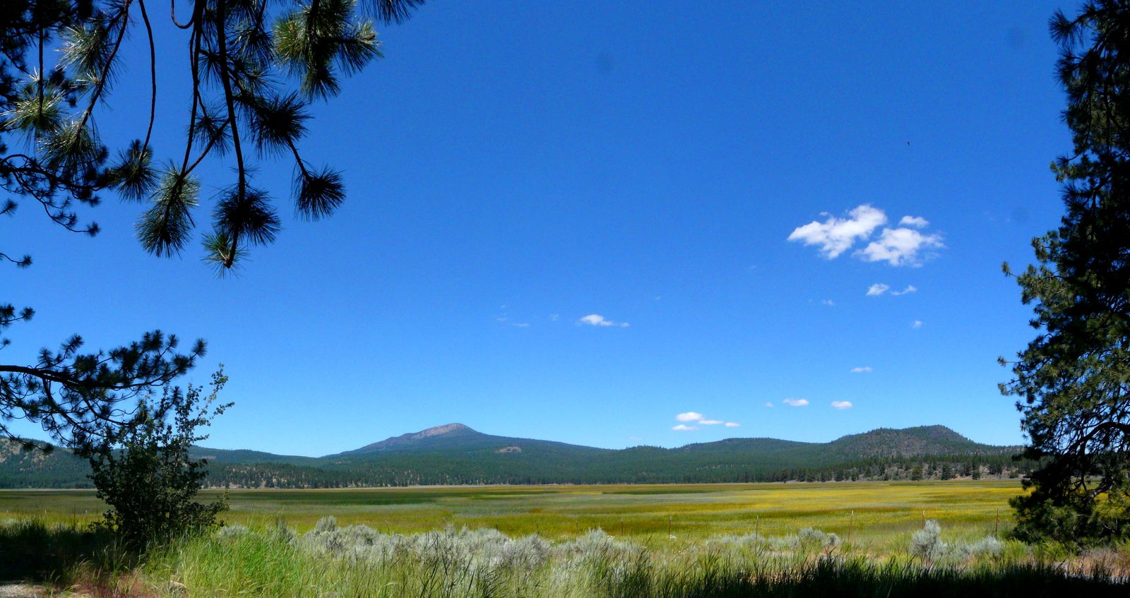 Taylorsville, CA | Data USA