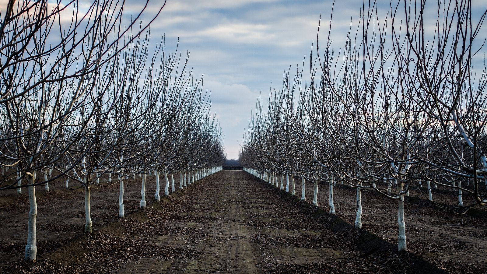 Visalia, CA Data USA