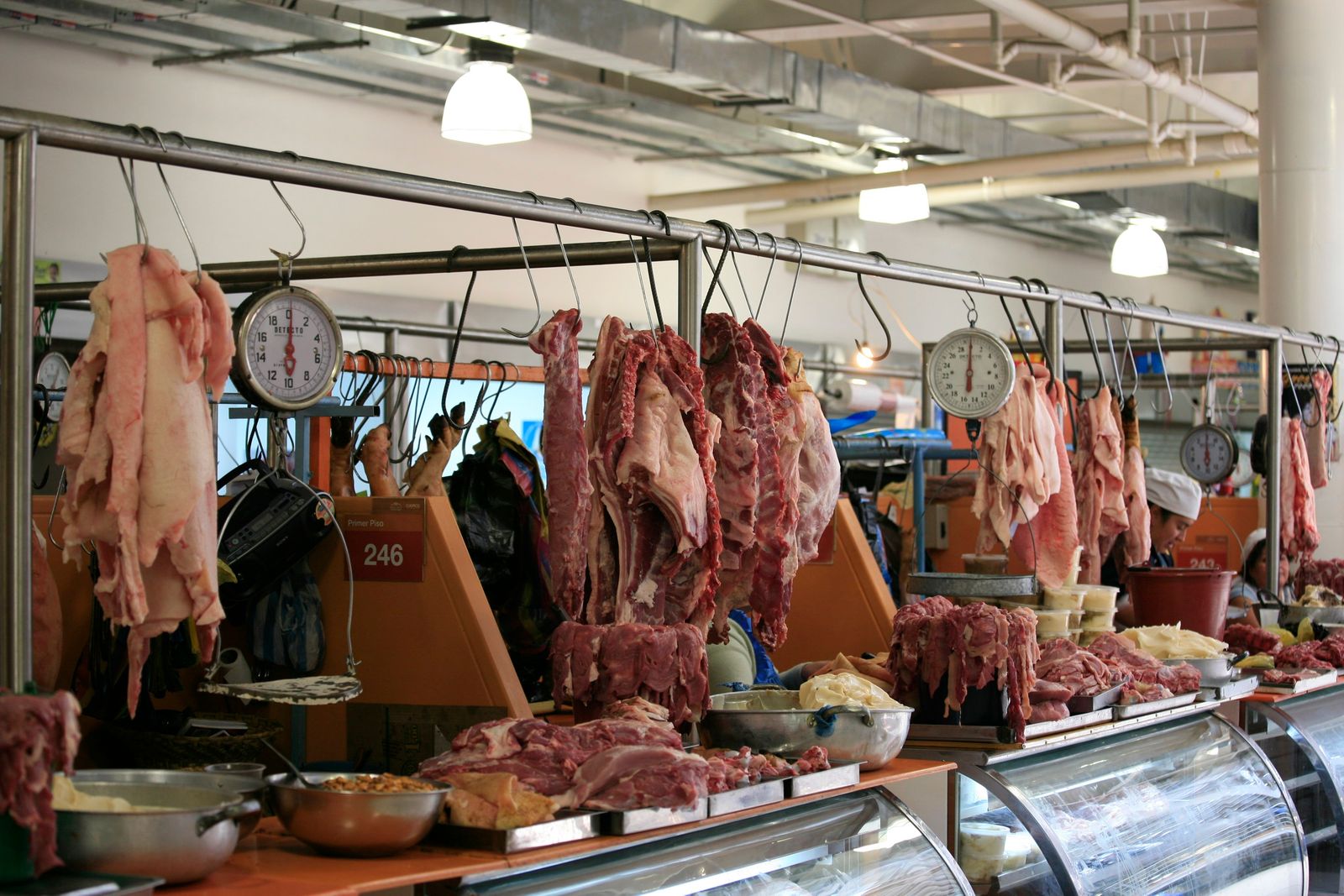 Animal slaughtering & processing Data USA