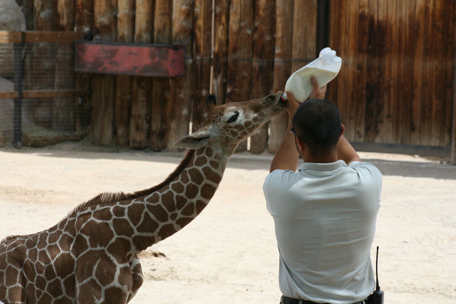 Nonfarm animal caretakers Data USA