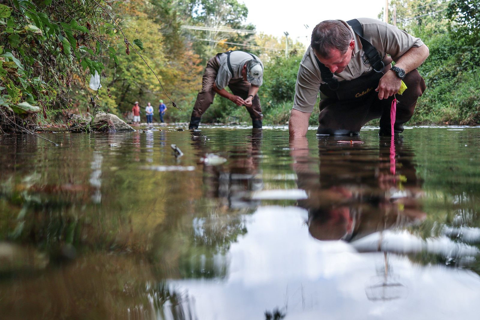 Fishing & hunting workers Data USA