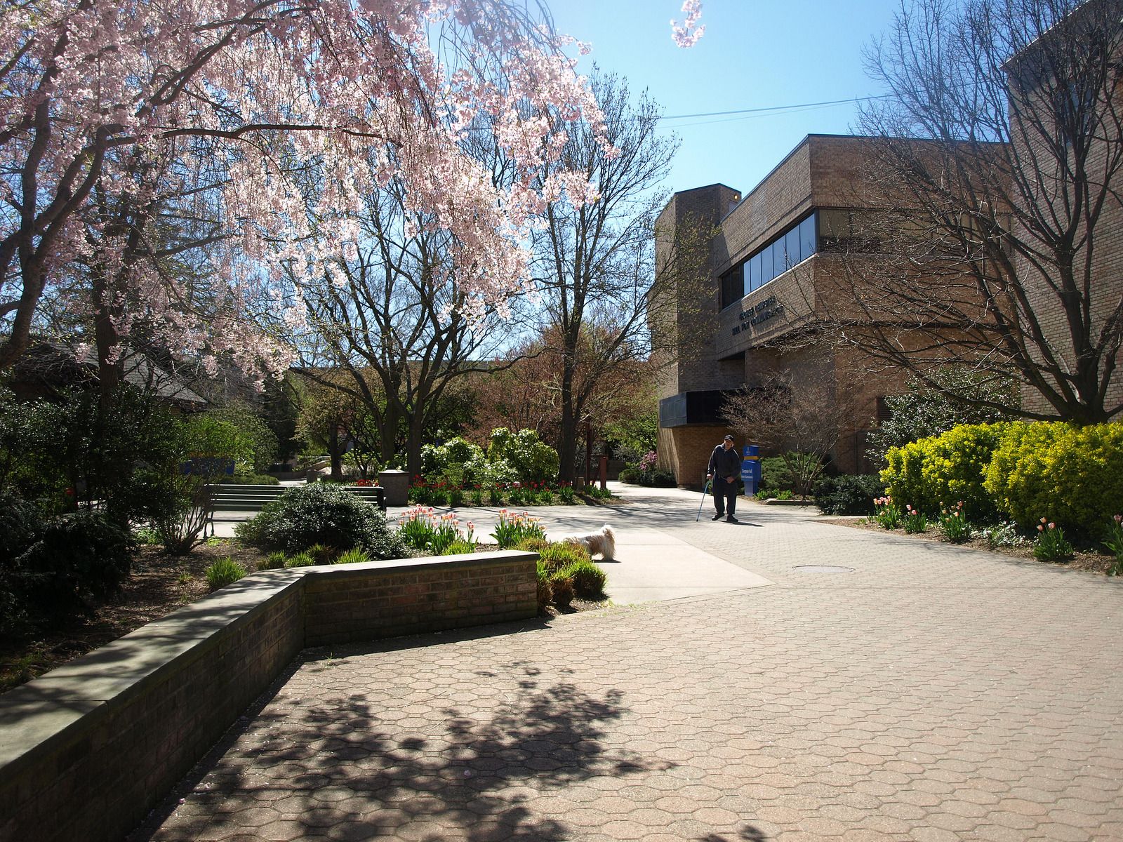 Hofstra University Data USA