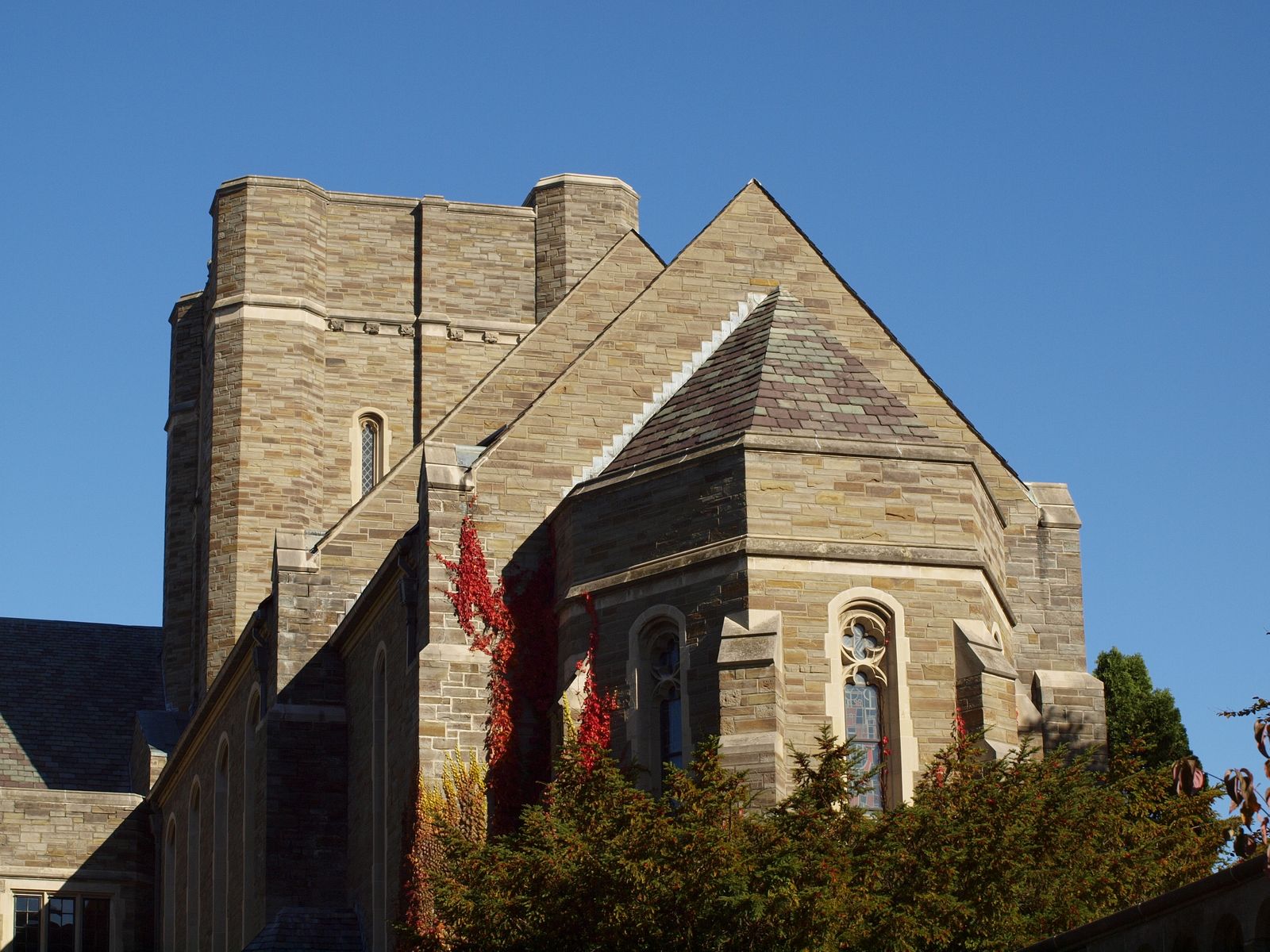 Cornell University Data USA