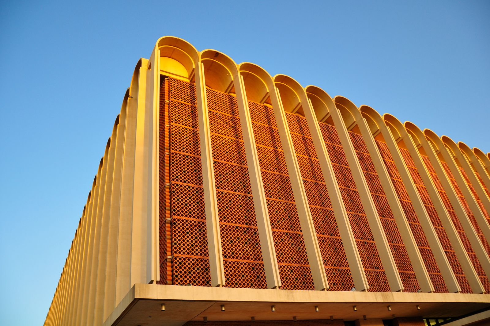 Texas Tech University Data USA