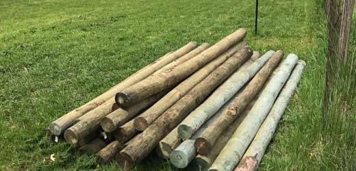 A Glance at Some Posts in Progress