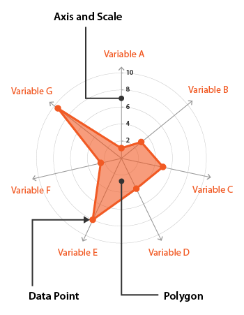 Radar Charts - Learn about this chart and tools to create it