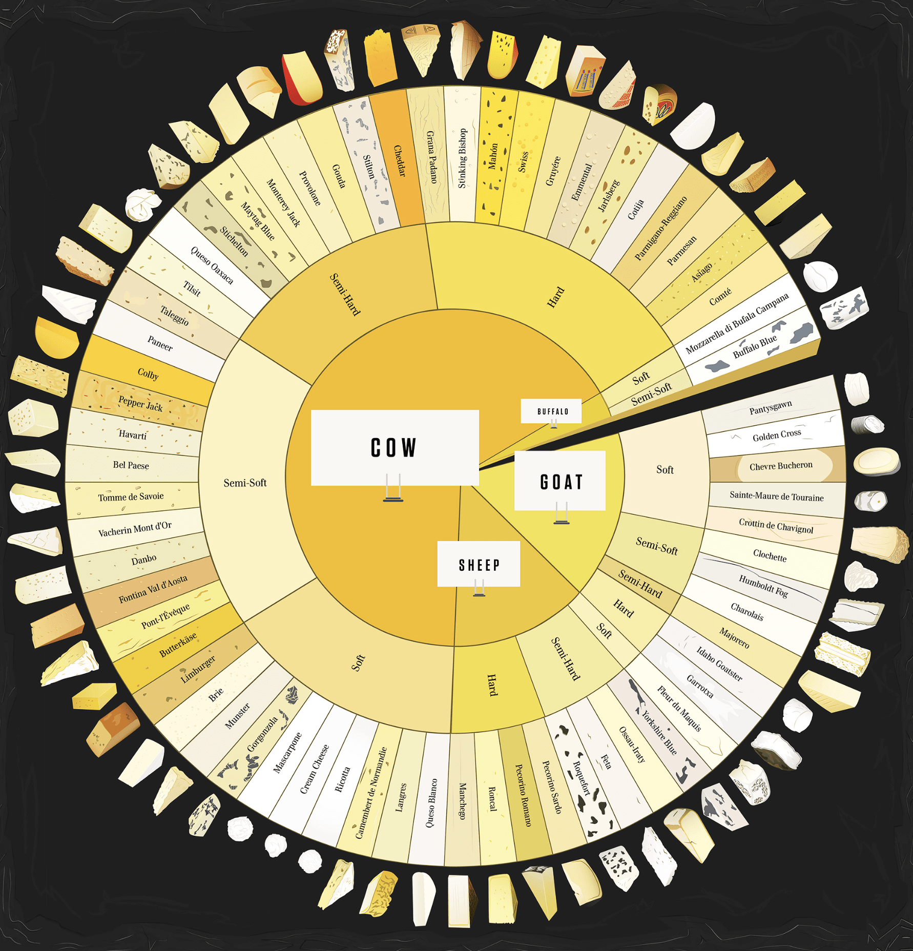 Multilevel Pie Chart Data Viz Project