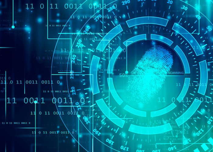 Entity Resolution What You Need To Know DataWalk