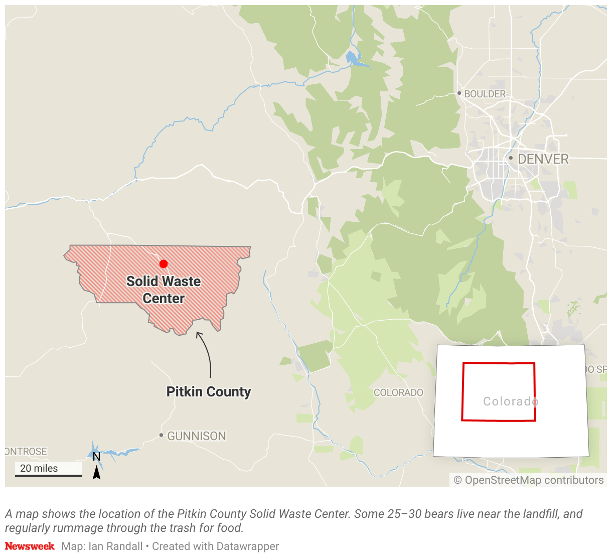 Bear Colony at Colorado Landfill Creates Impossible Problem Newsweek