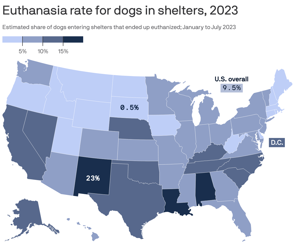 Euthanasia rates across U.S. animal shelters reach 3year high