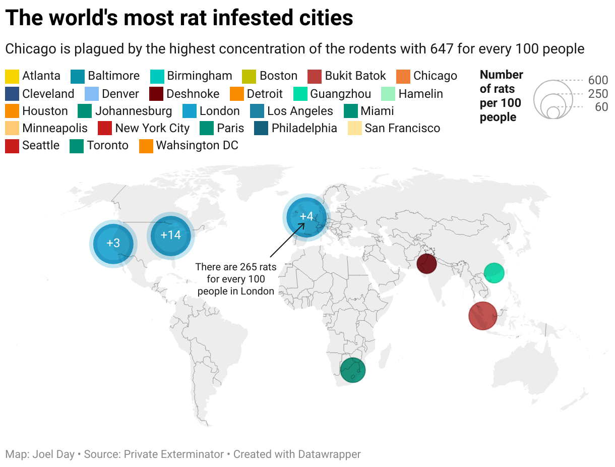 The world's top 25 most ratinfested cities including entries from the