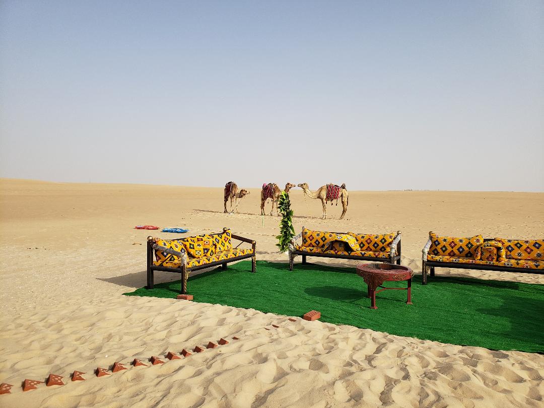 Desert Camping Saudi Style, AlAhsa region March 2021 Date Palms &amp, Camels