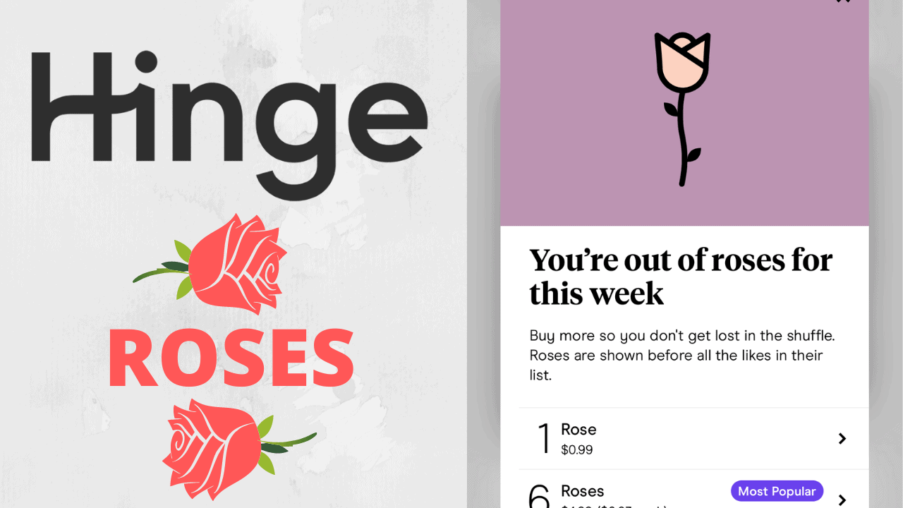 Hinge Send A Rose Details & Updates 2024 Dating App World