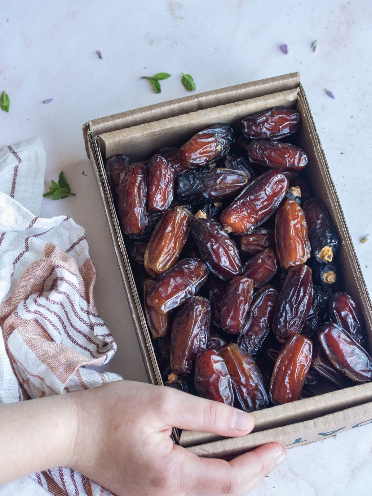Mabroom dates Chewy dates 100 natural Dattelmann