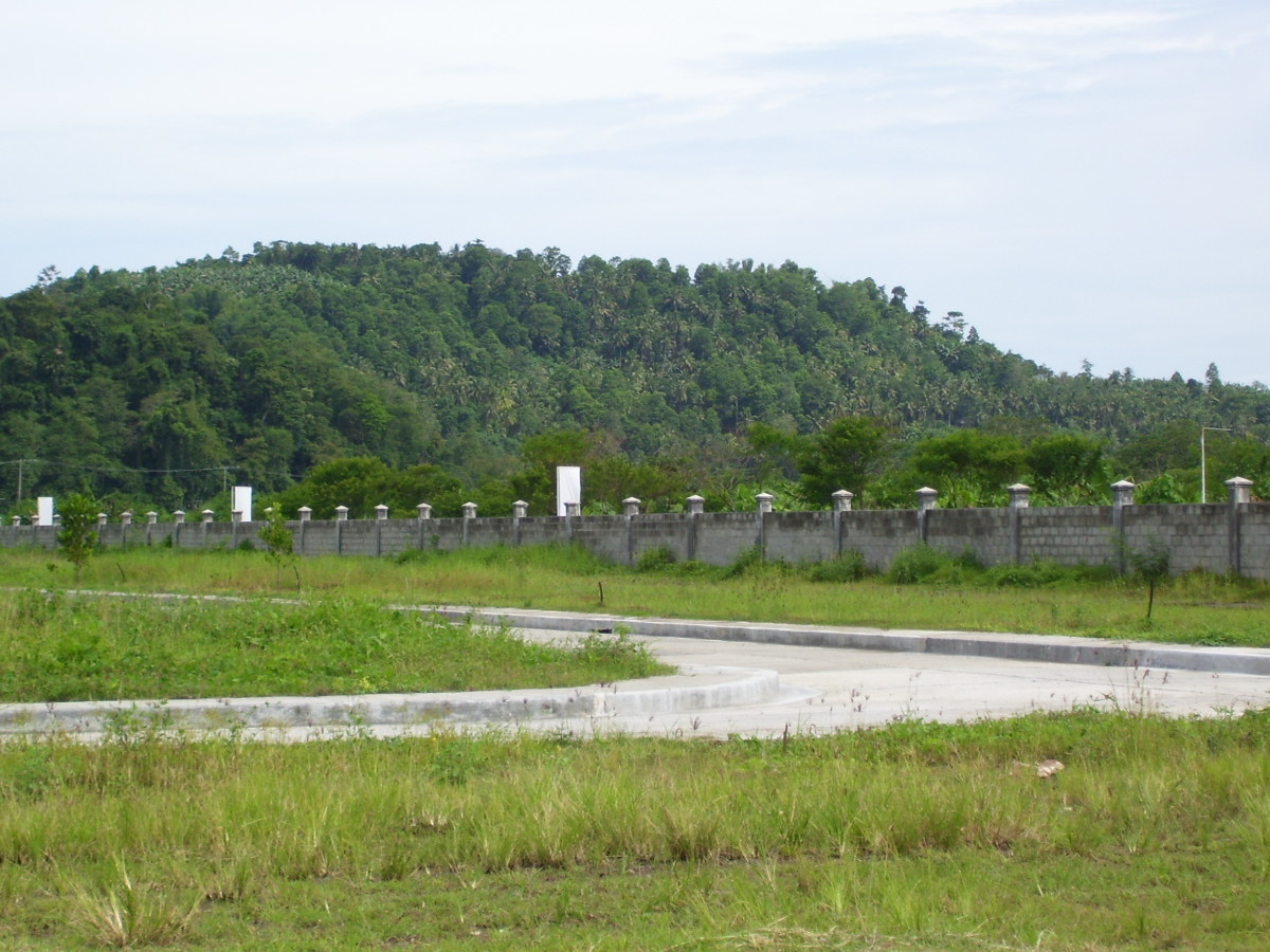 Las Palmas Verdes Allea Real Estate House for SALE or RENT in DAVAO