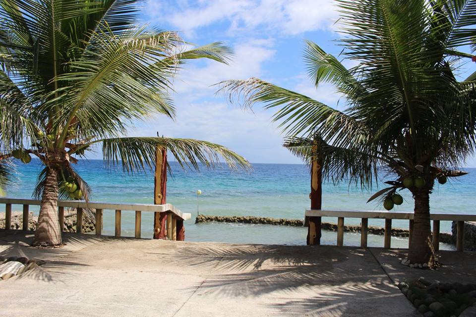 Samal Properties for Sale Allea Real Estate House for SALE or RENT