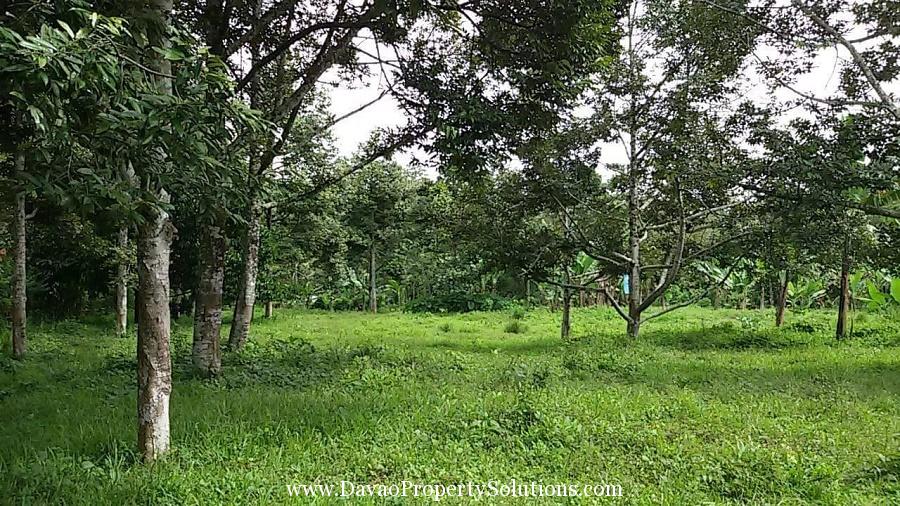 Davao City Farm Lot Davao Property Solutions