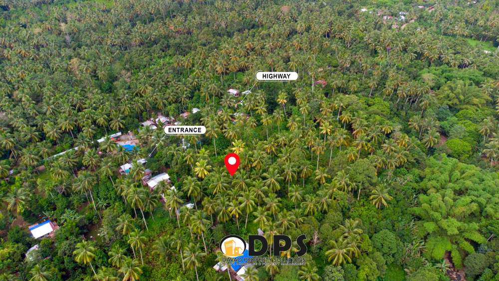 Fullyplanted Cacao Farm Lot for Sale Davao City Angalan Tugbok