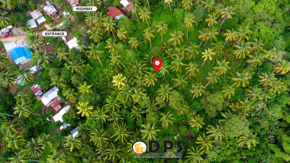 Fullyplanted Cacao Farm Lot for Sale Davao City Angalan Tugbok