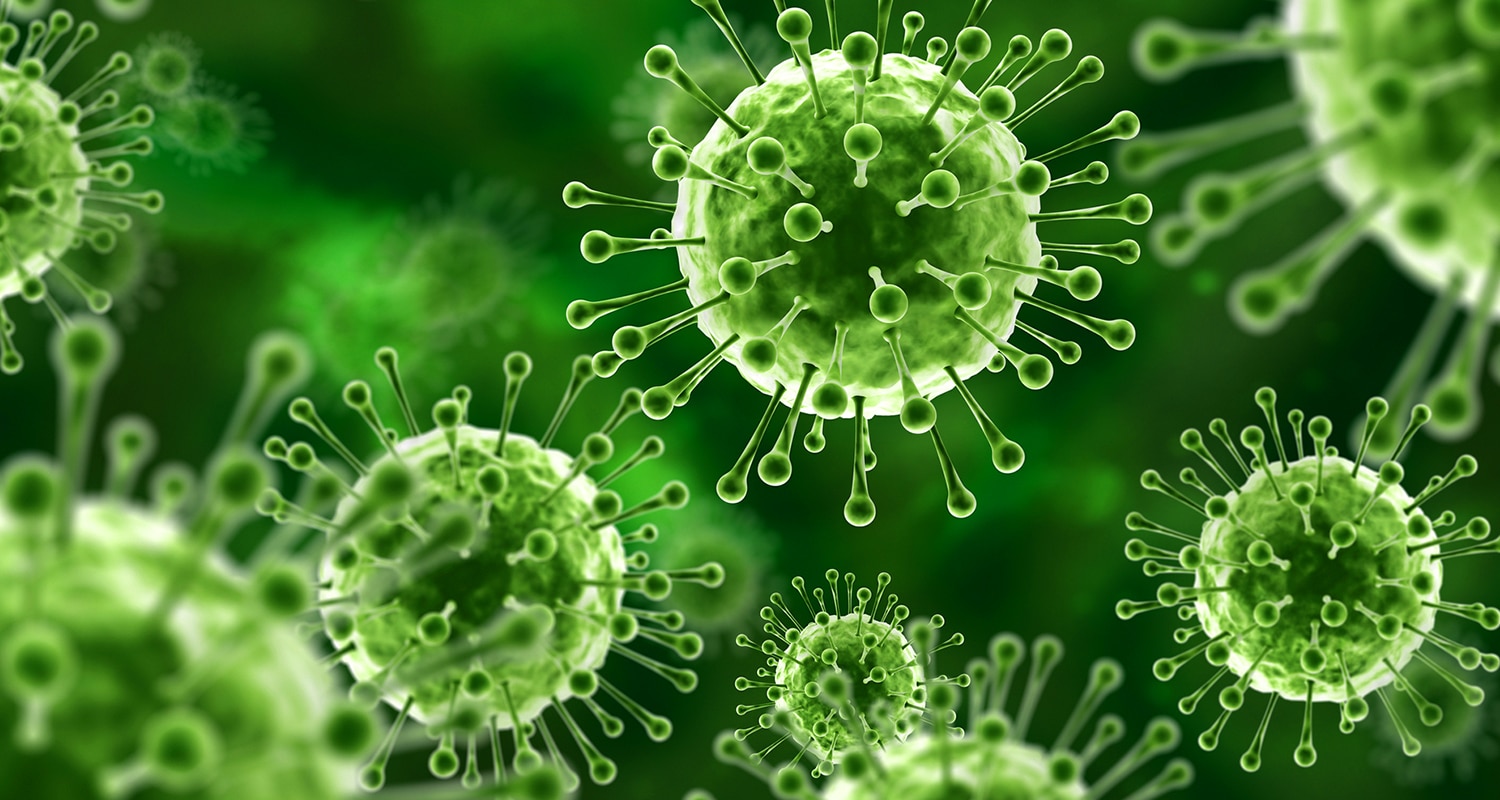 How to Hack Zombie Cells and Maximize Your Lifespan