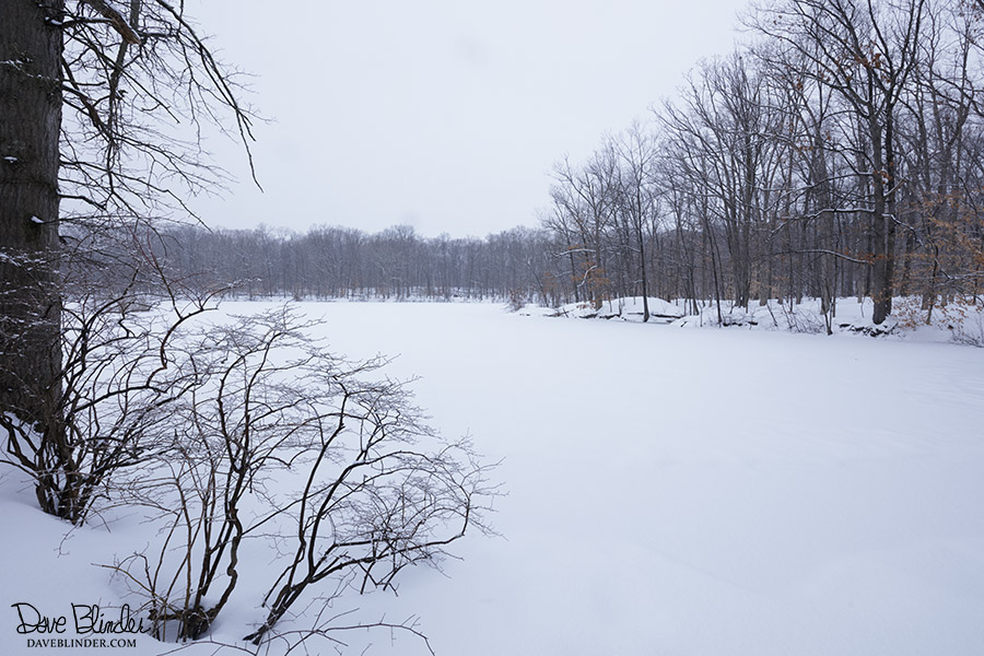 Bee Meadow Pond in Winter daveblinder
