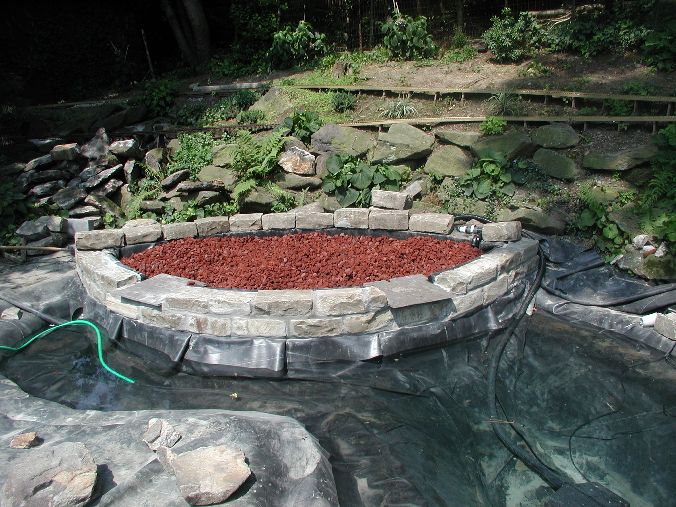 Garden Pond summer 2003