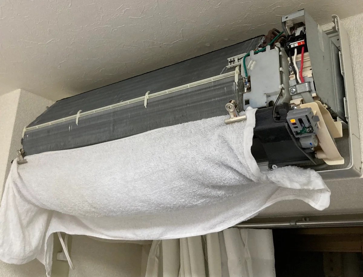 Mold on Styrofoam in Air Conditioner (Remove & Prevent) Dave Burroughs