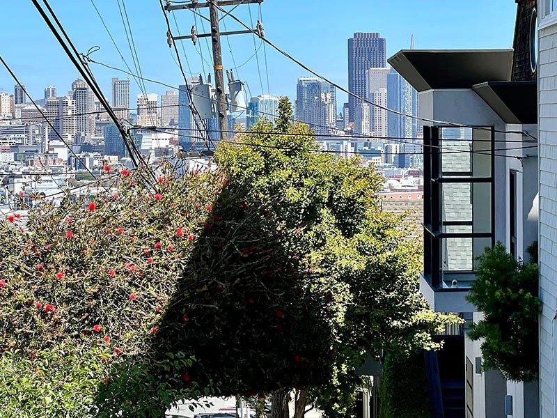 Explore Potrero Hill Homes for Sale Dave Cunningham, Realtor