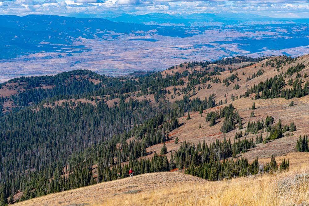 Council Mountain, Payette National Forest, Idaho