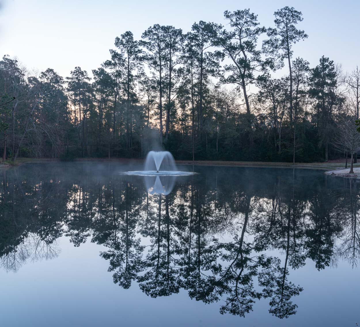 Mason Pond Sunrise, Shenandoah, Texas