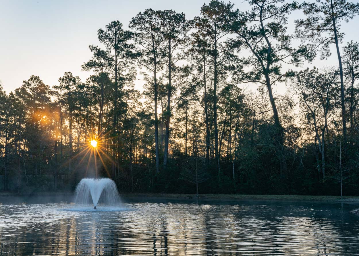 Mason Pond Sunrise, Shenandoah, Texas