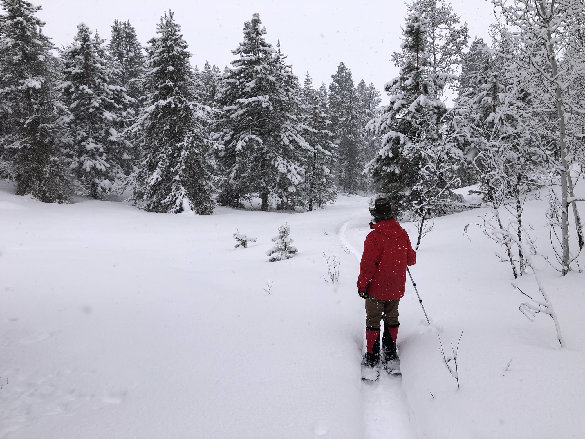 Snowshoe Jughandle, McCall, Idaho