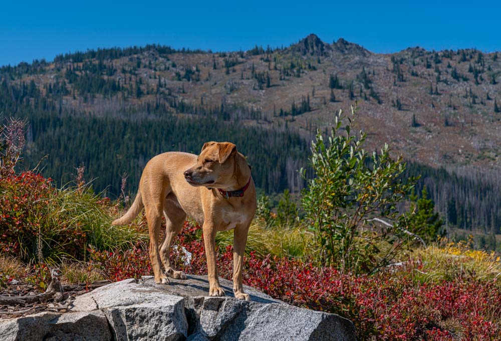 Hershey Point, Payette National Forest, Idaho