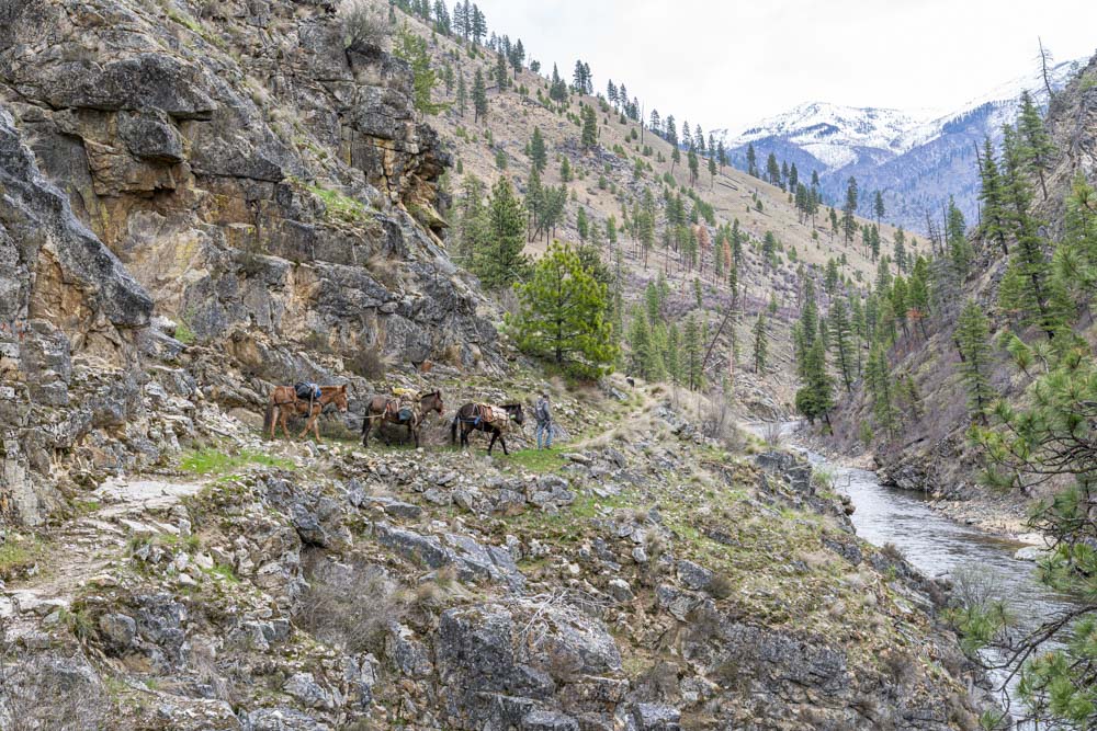 Idaho Trails Association South Fork of the Salmon River (Day 2