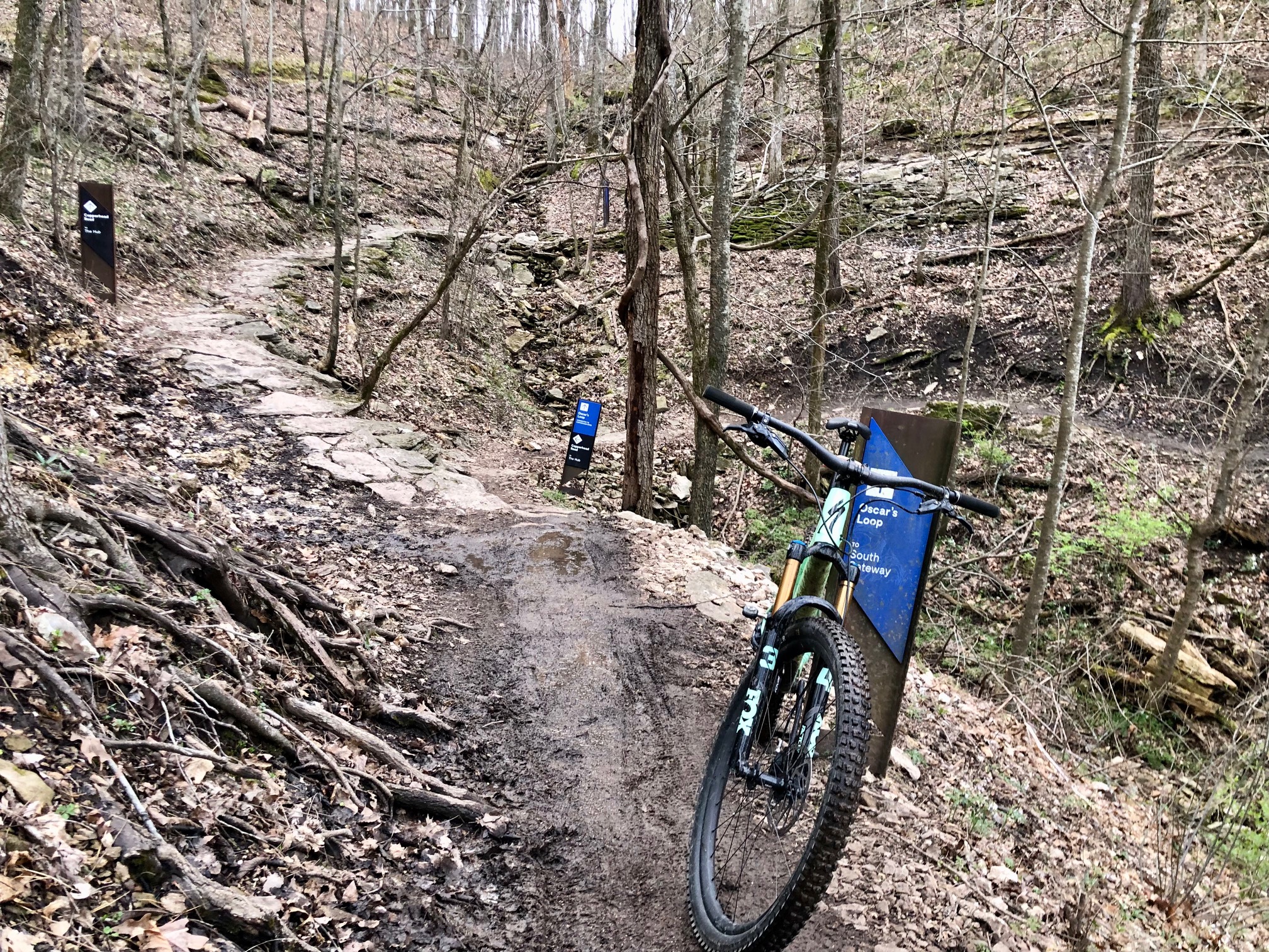 Coler Mountain Bike Preserve, Bentonville, Arkansas