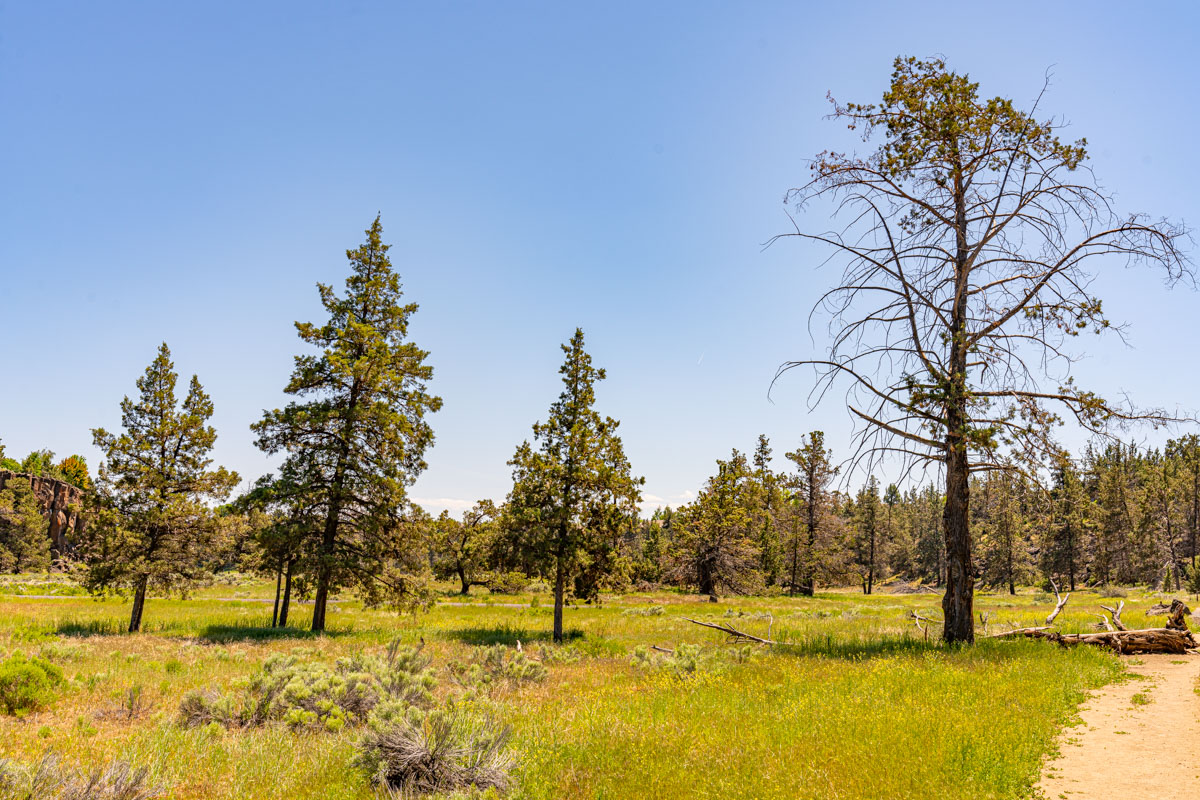 Dry Canyon Park Redmond, Oregon