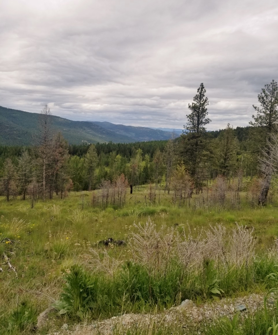 Browns Meadow Road, Kila Dave Heine