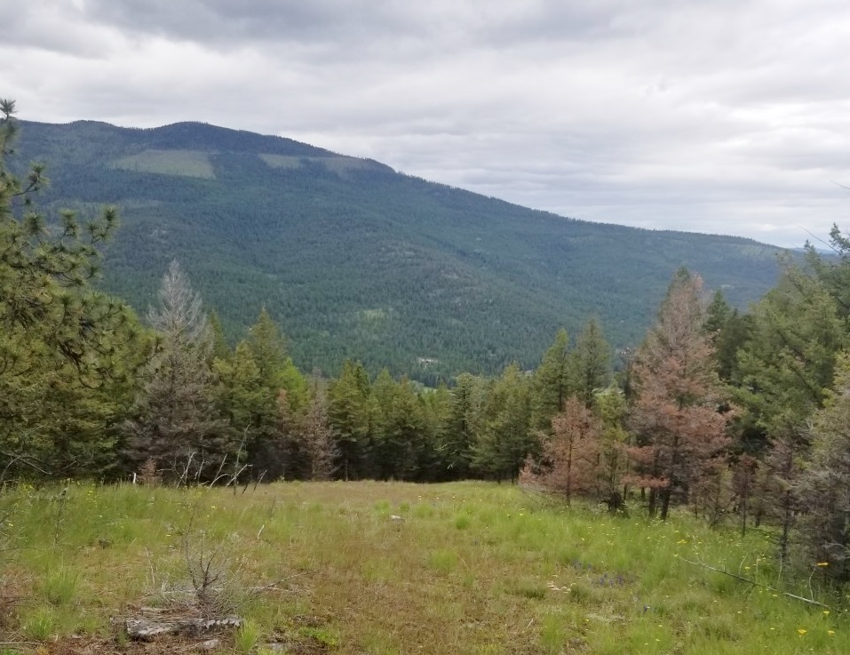 Browns Meadow Road, Kila Dave Heine