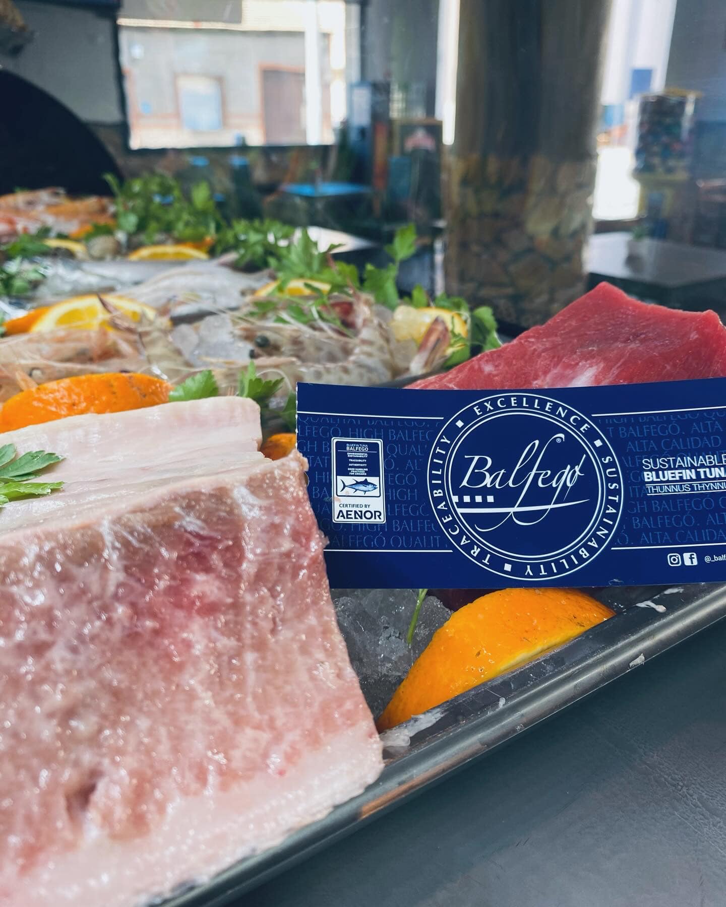 Casa Anita In Catral Great Food, Excellent Value for Money Dave In Spain