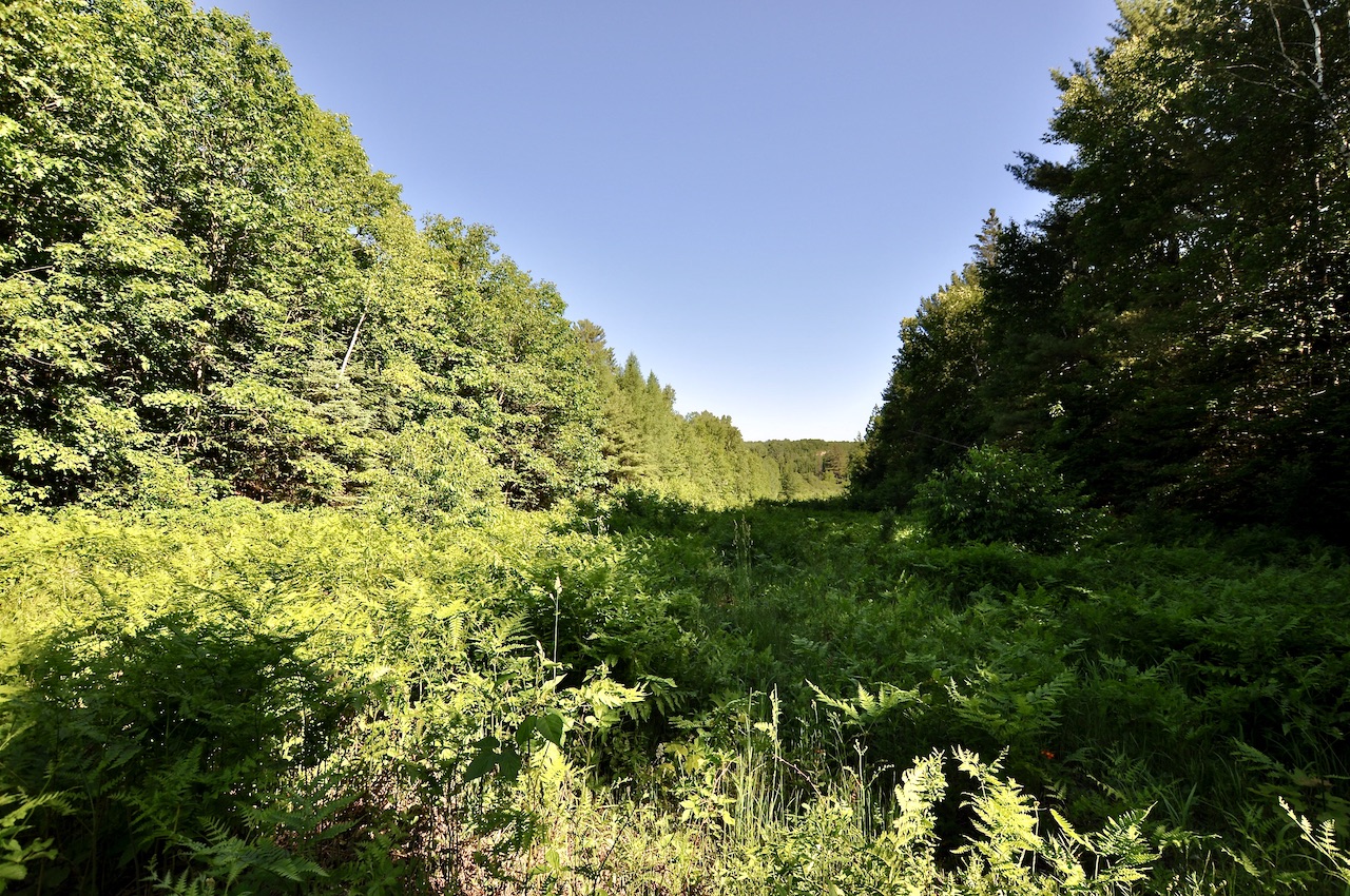 Dave Leslie Real Estate Muskoka Real Estate, homes in Huntsville