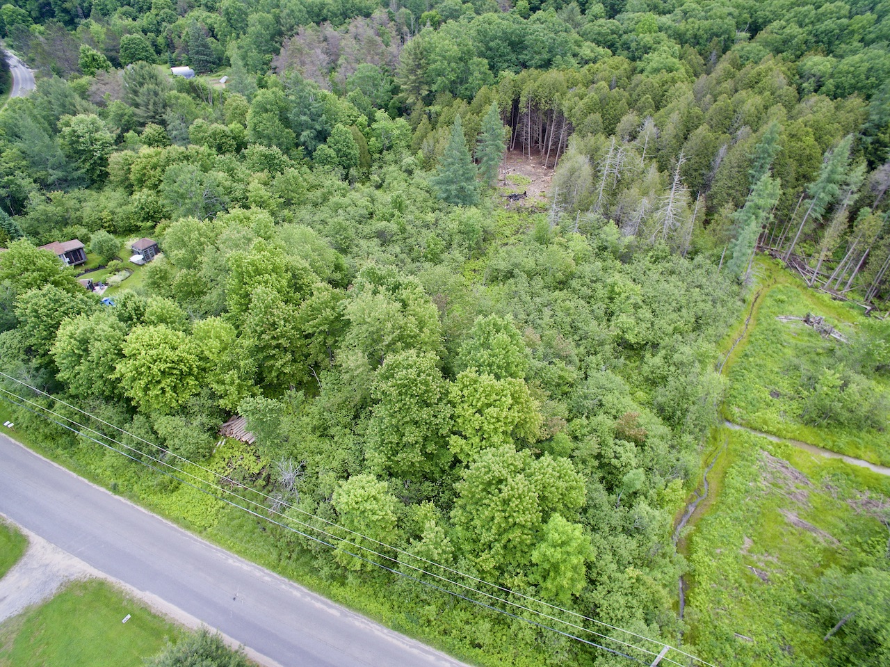 Dave Leslie Real Estate Muskoka Real Estate, homes in Huntsville